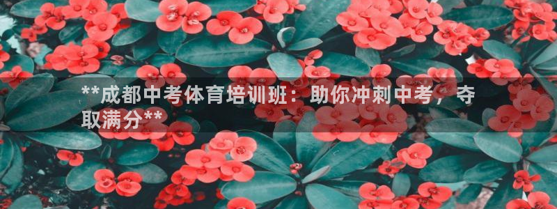 欧陆娱乐计划app官方正版安装下载：**成都中考体育