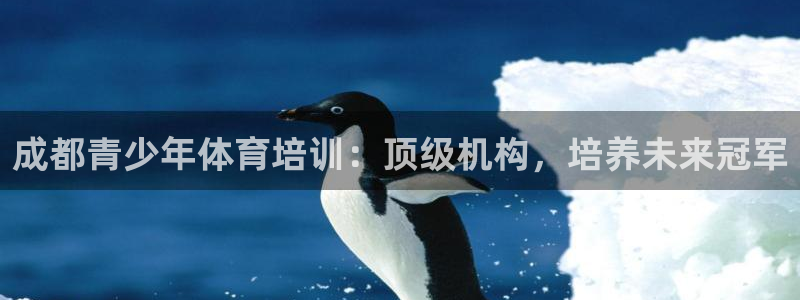 欧陆娱乐官网注册中心在哪：成都青少年体育培训：顶级机