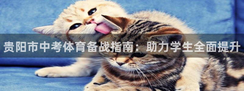 欧陆娱乐代理多少个点位：贵阳市中考体育备战指南：助力