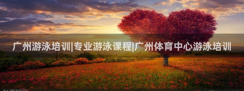 欧陆公司在哪里：广州游泳培训|专业游泳课程|广州体育