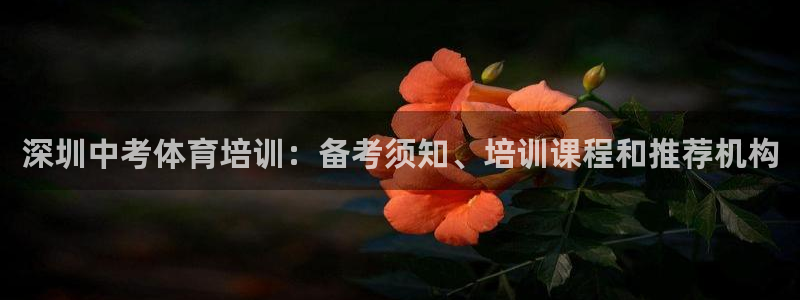 欧陆娱乐登录平台有哪些：深圳中考体育培训：备考须知、