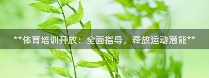 欧陆娱乐代理多少个点位啊：**体育培训开放：全面指导
