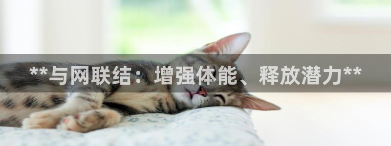 欧陆娱乐平台登陆地址在哪改：**与网联结：增强体能、