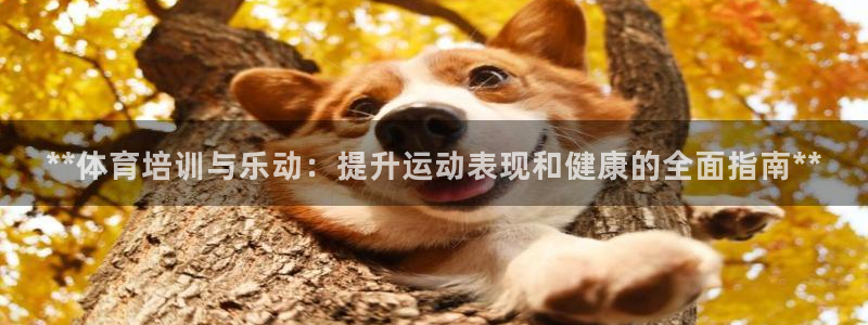 欧陆娱乐试玩官网：**体育培训与乐动：提升运动表现和