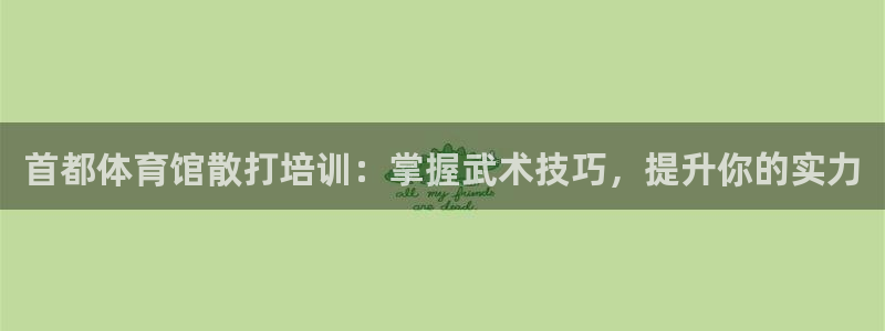 欧陆娱乐注册代理多少钱啊：首都体育馆散打培训：掌握武