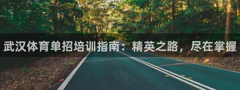 欧陆娱乐是干什么的：武汉体育单招培训指南：精英之路，