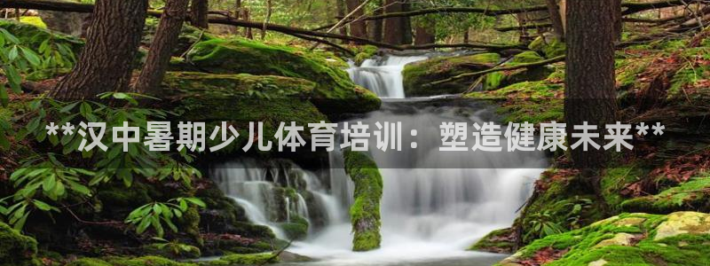 欧陆娱乐登录平台下载：**汉中暑期少儿体育培训：塑造