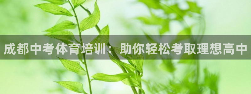 欧陆娱乐官网下载安装苹果：成都中考体育培训：助你轻松