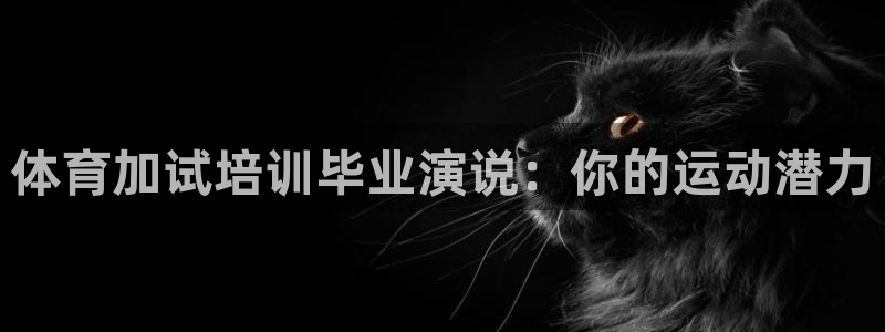 欧陆娱乐线路测速
