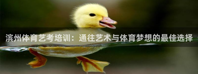 欧陆娱乐登录平台下载：滨州体育艺考培训：通往艺术与体