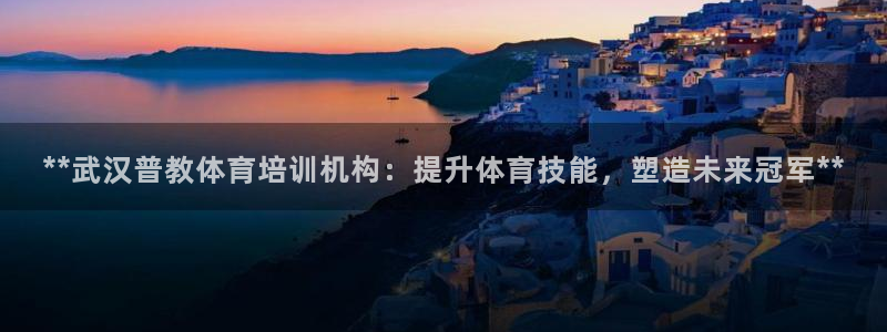 欧陆娱乐官网注册中心：**武汉普教体育培训机构：提升