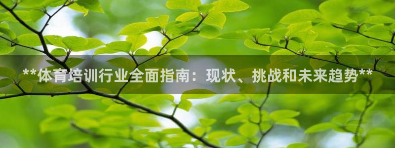 欧陆娱乐挂机项目怎么设置：**体育培训行业全面指南：