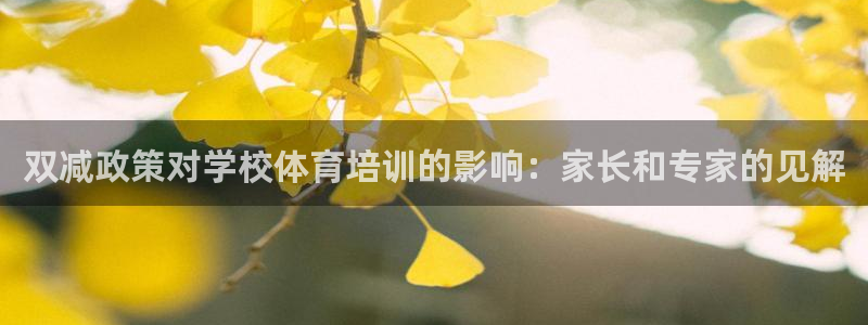 欧陆娱乐计划app官方正版安装下载苹果：双减政策对学