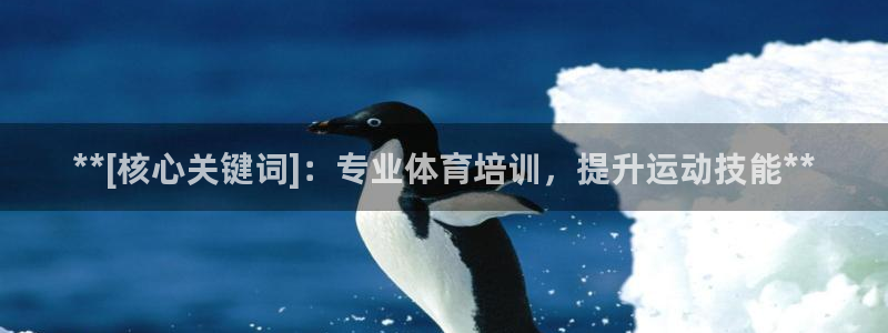 欧陆娱乐注册代理多少钱一年：**[核心关键词]：专业