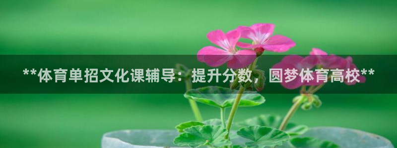 欧陆娱乐平台登录不上去：**体育单招文化课辅导：提升