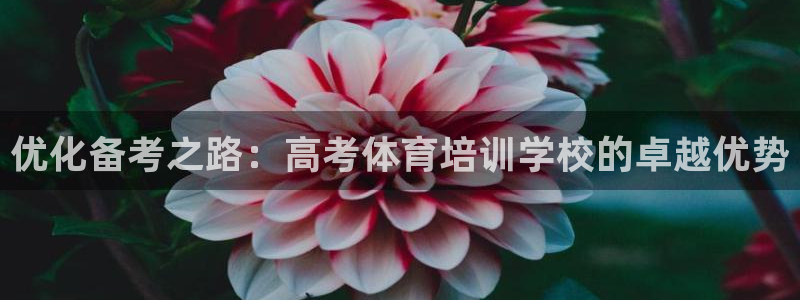 欧陆娱乐合法吗?：优化备考之路：高考体育培训学校的卓