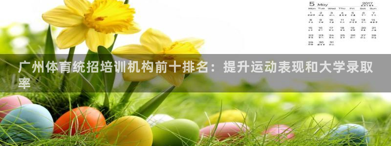 欧陆娱乐访问：广州体育统招培训机构前十排名：提升运动表现和大