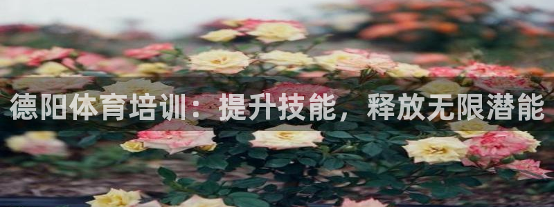 欧陆娱乐合法吗：德阳体育培训：提升技能，释放无限潜能
