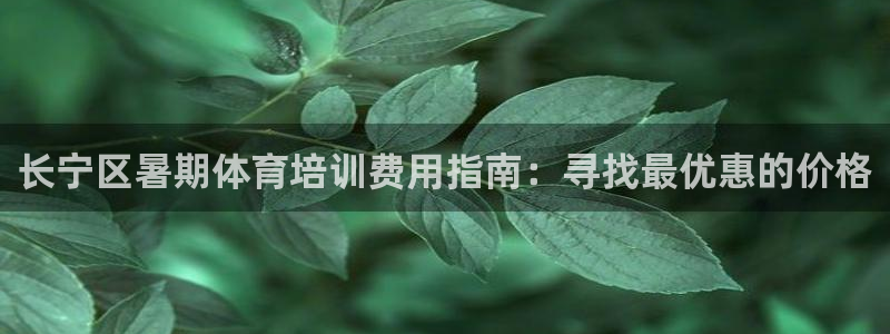 欧陆娱乐官网入口网址：长宁区暑期体育培训费用指南：寻