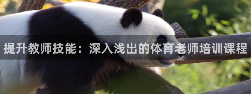 欧陆娱乐登陆平台官网：提升教师技能：深入浅出的体育老师培训课