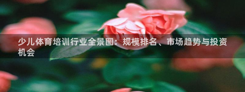 欧陆娱乐能不能玩手游：少儿体育培训行业全景图：规模排名、市场