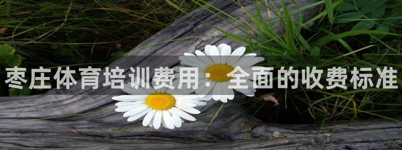 欧陆娱乐是真的假的：枣庄体育培训费用：全面的收费标准