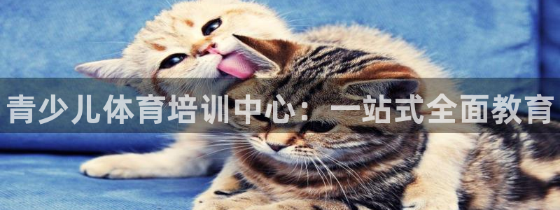 欧陆娱乐平台登录不上怎么回事