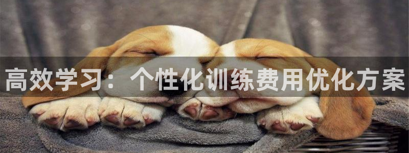 欧陆娱乐是真的吗：高效学习：个性化训练费用优化方案