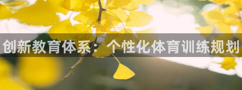 欧陆娱乐是资金盘吗：创新教育体系：个性化体育训练规划