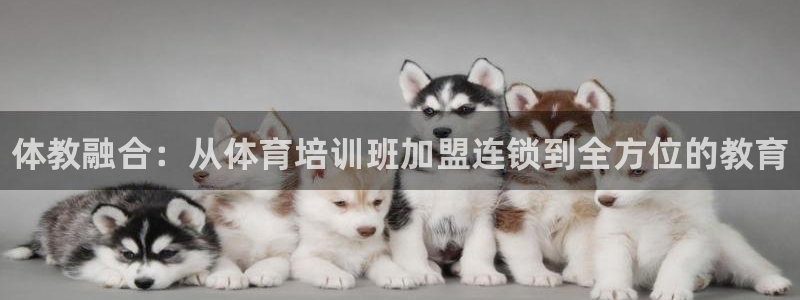 欧陆娱乐是正规平台吗安全吗可信吗：体教融合：从体育培训班加盟